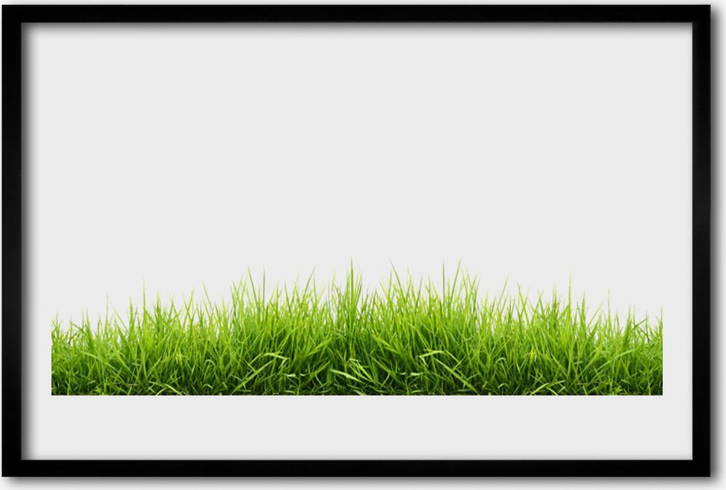 Bild 60x40 MDF-Rahmen Wandkunst Gras Natur Pflanze