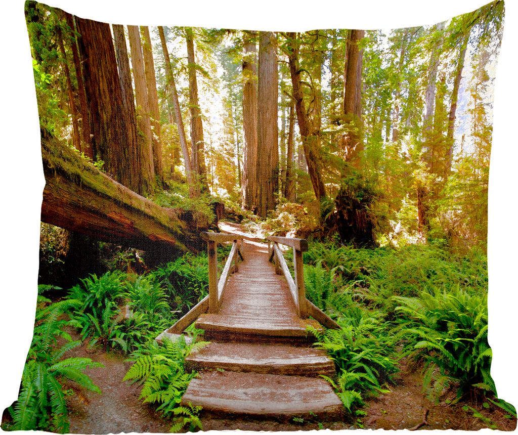 MuchoWow Zierkissen Sofakissen Wohnzimmer Dekokissen 60x60 cm Dschungel - Natur - Treppe - Bäume - Sitzfläche - Foto Polster