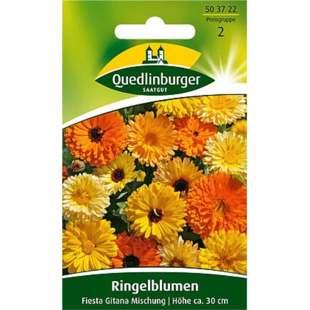 Quedlinburg Calendule Fiesta Gitana Miscela - Semi di fiori Immagine del prodotto 