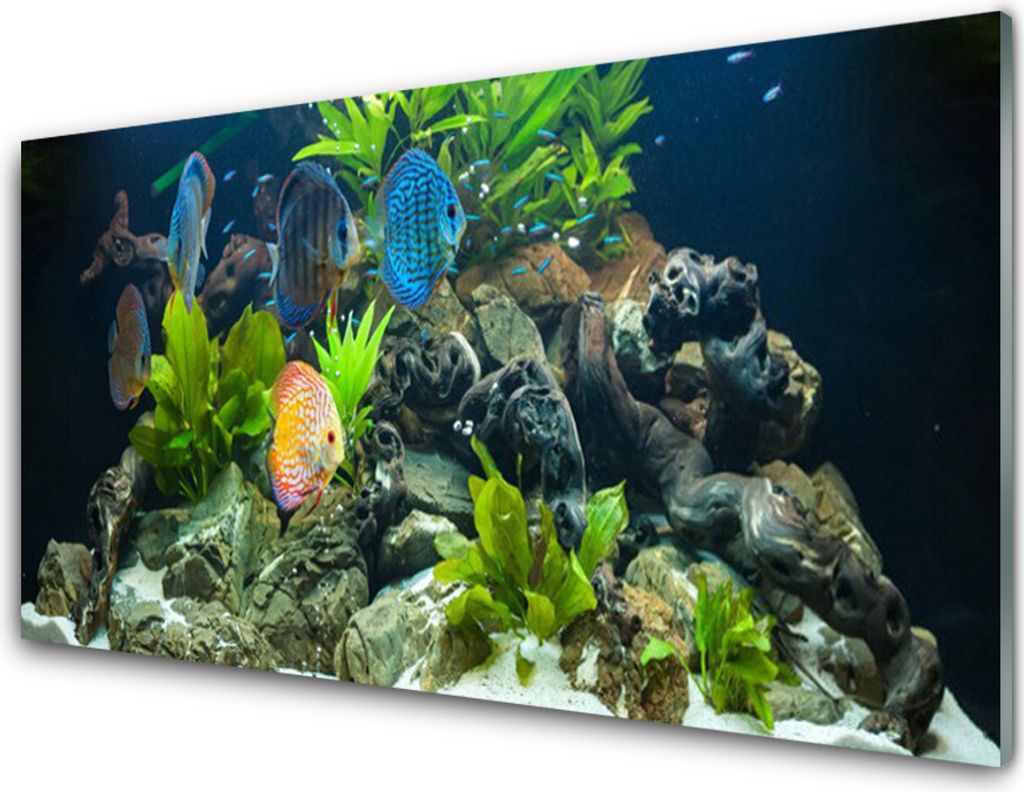 Acrylglasbilder 100x50 Wandbild Druck Fische Steine Blätter Natur