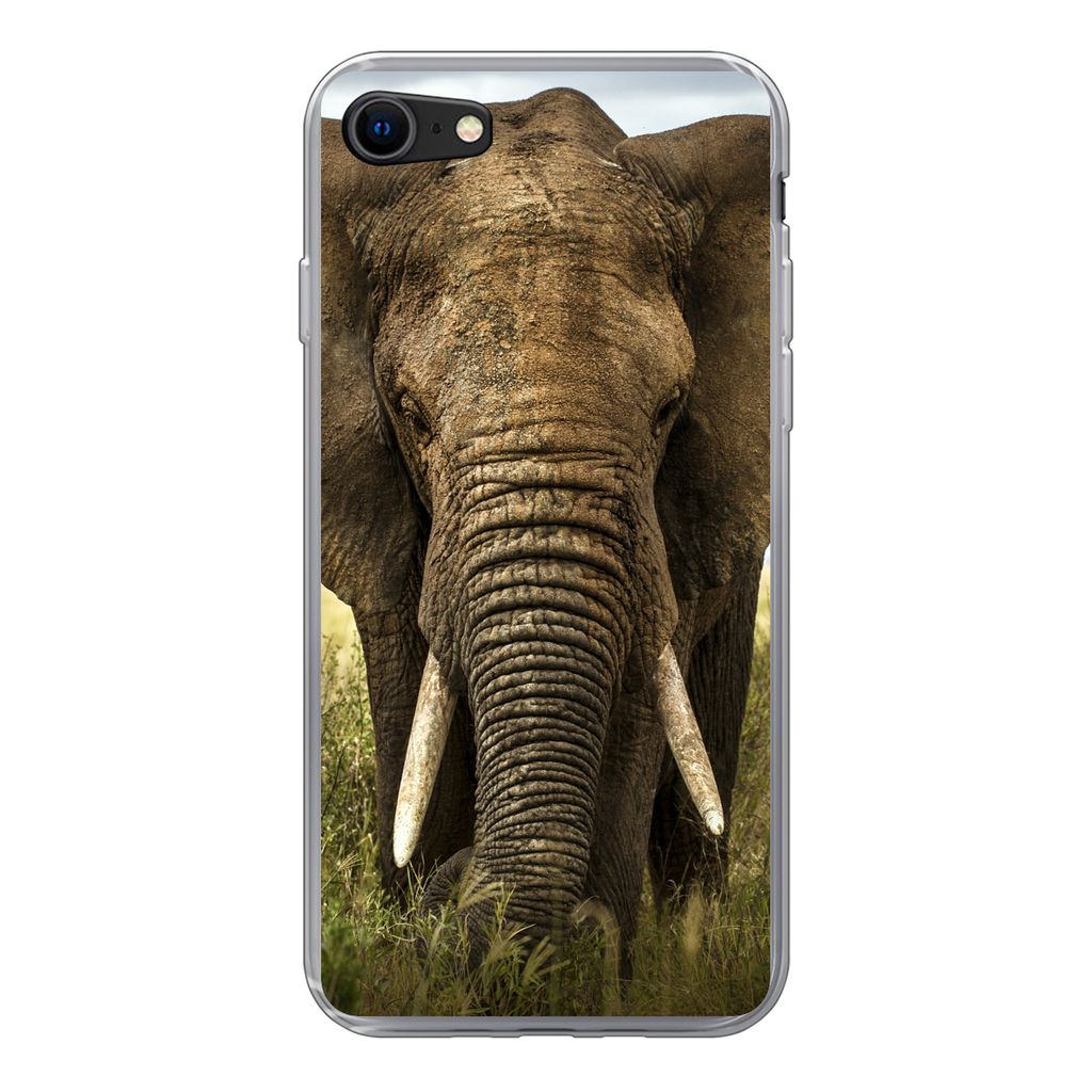 MuchoWow Handyhülle Schutzhülle Hülle für iPhone 8 Elefant - Natur - Gras - Tiere - Landschaft Silikon Softcase Handy Hülle - Schutzhaube