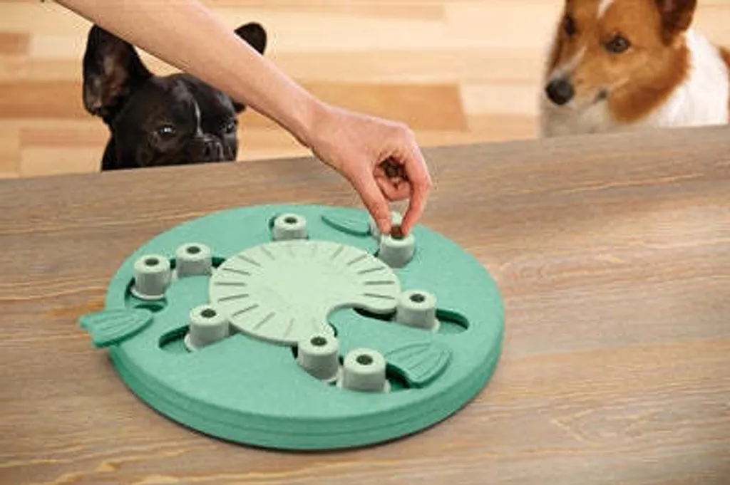 Puzzle interactif Dog Worker pour chien expert - Jeu d'intelligence Mint