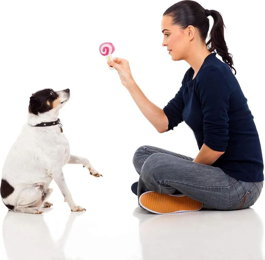 14 Jouets en Peluche Fruits et Légumes Couineurs pour Chiots et Chiens
