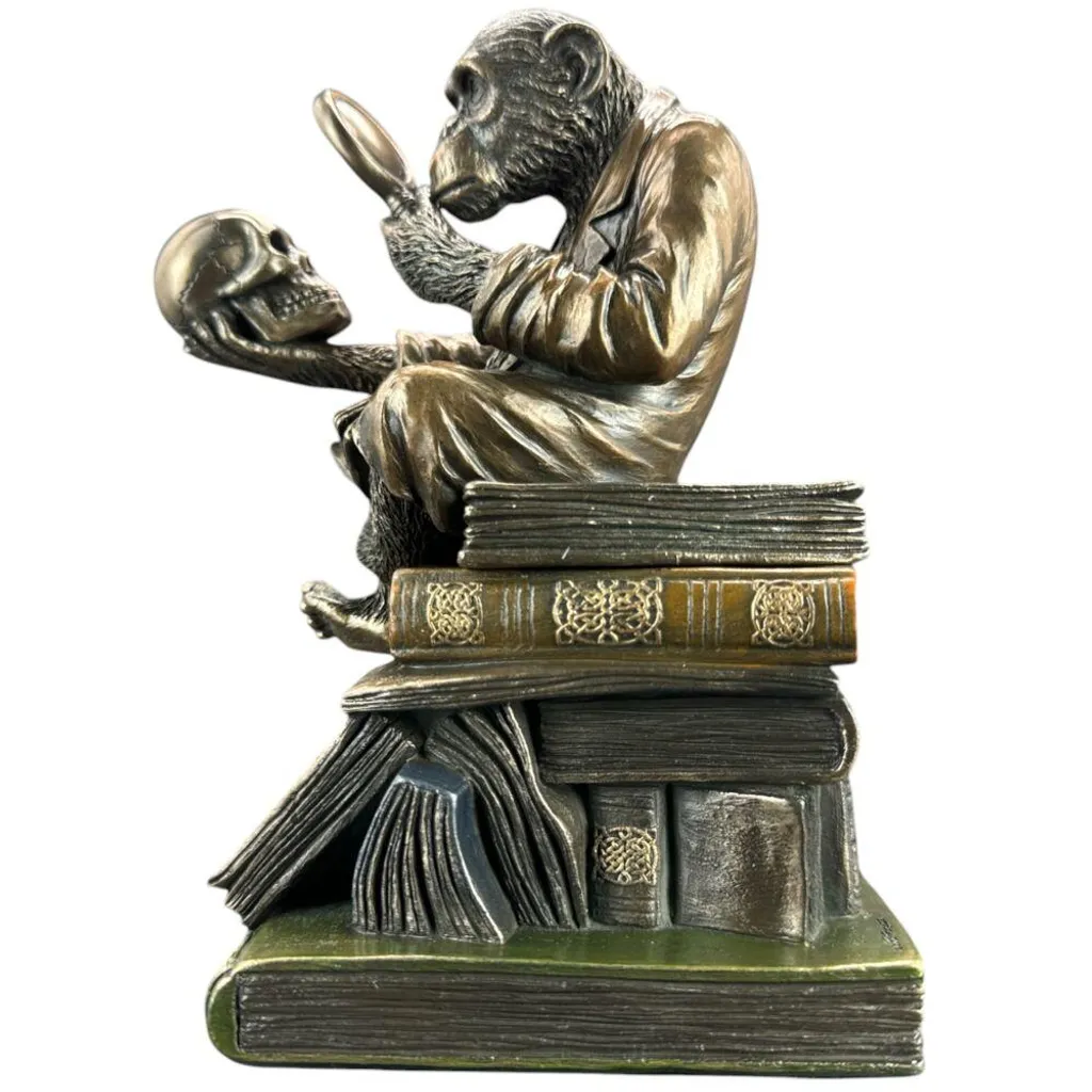 Figurine scientifique Évolution du chimpanzé - Sculpture décorative de luxe