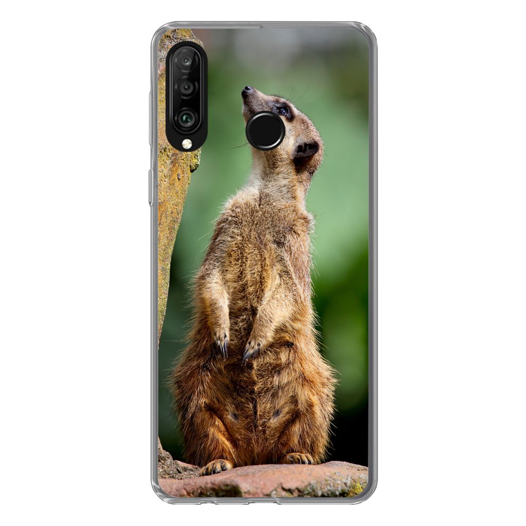 MuchoWow Handyhülle Schutzhülle Hülle für Huawei P30 Lite Erdmännchen - Tier - Rock Silikon Softcase Handy Hülle - Handyhülle