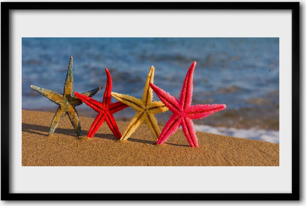 Bild 60x40 MDF-Rahmen Wandkunst Starfish-Strand-Kunst