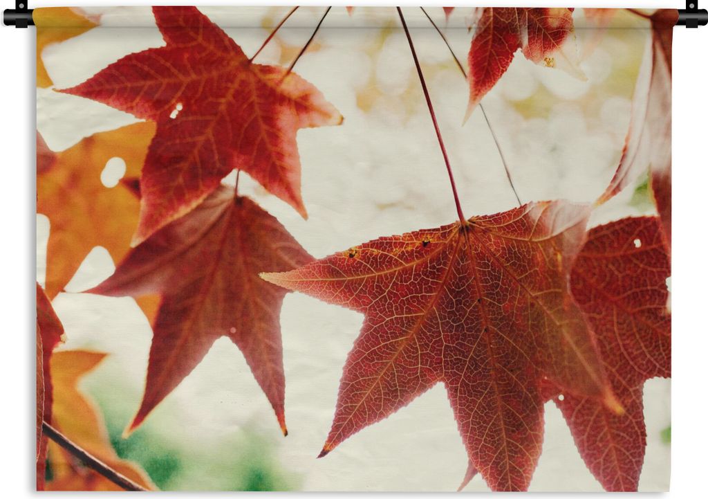 MuchoWow Wandteppich Wandbehang Herbstblätter - November - Natur - Bäume 120x90 cm Tapisserie Dekoration Wandtuch - Wohnen - Aufhänger für di...