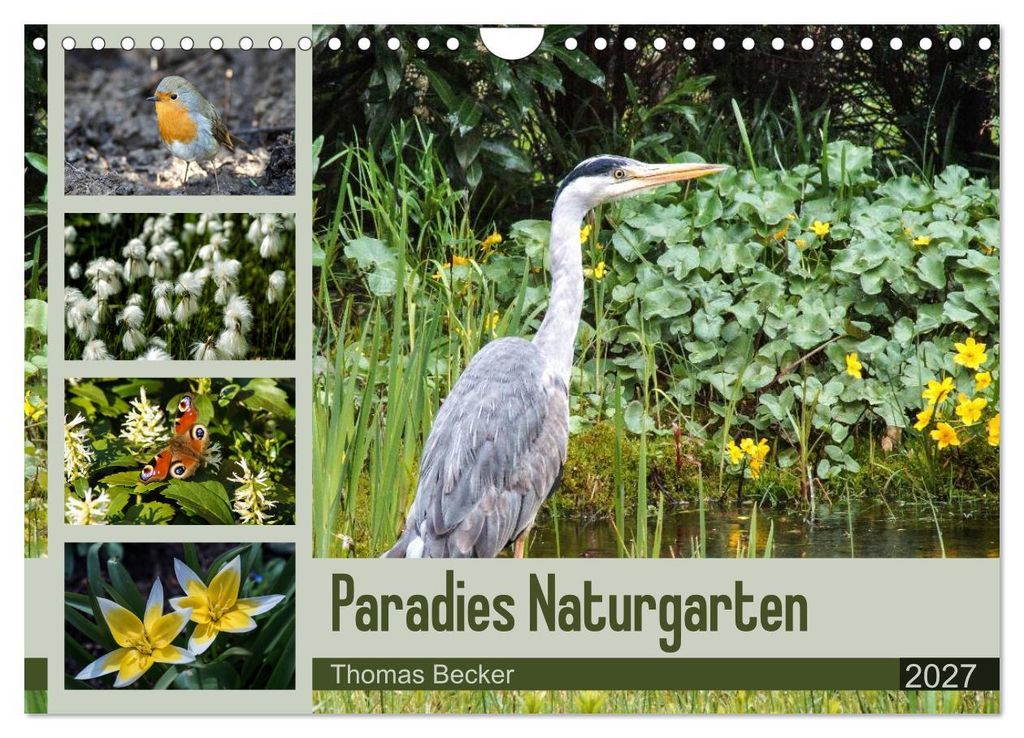 Paradies Naturgarten (Wandkalender 2027 DIN A4 quer), CALVENDO Monatskalender