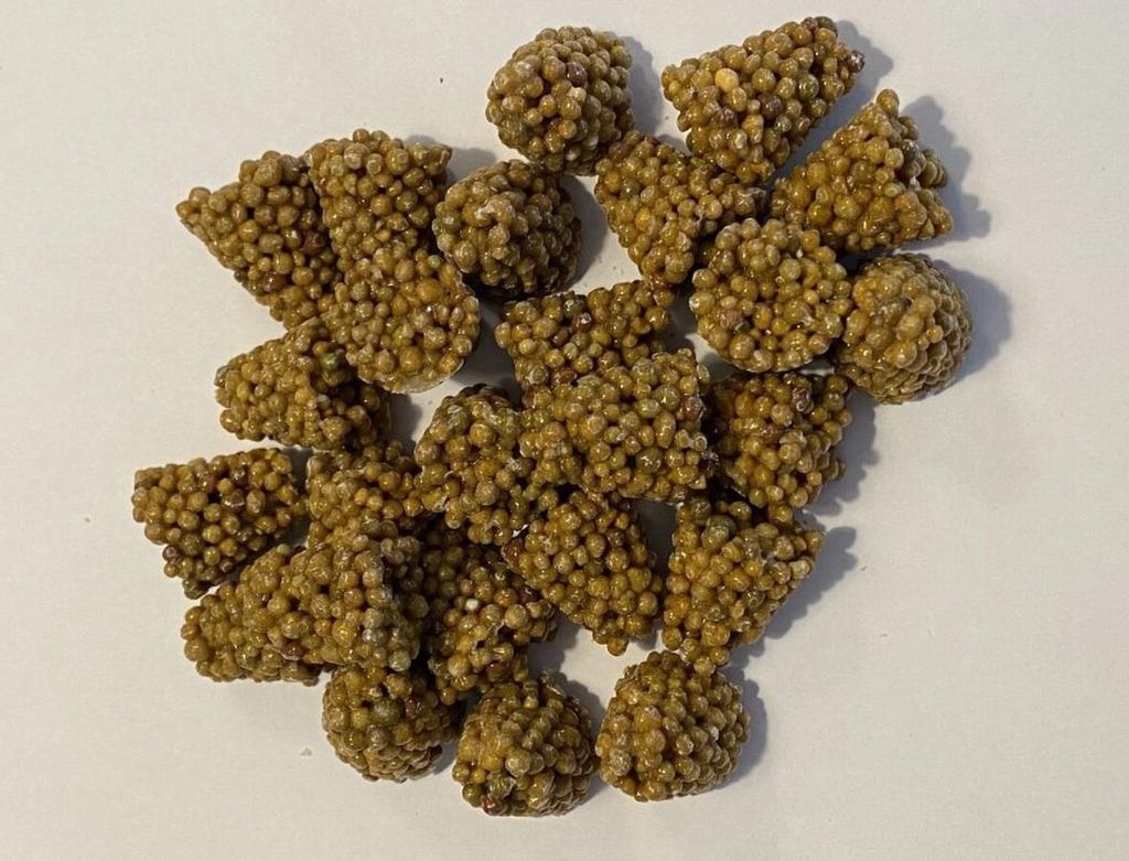 Ferrarium Ferrarium Zimmerpflanzen Futtertabletten 35 Stück
