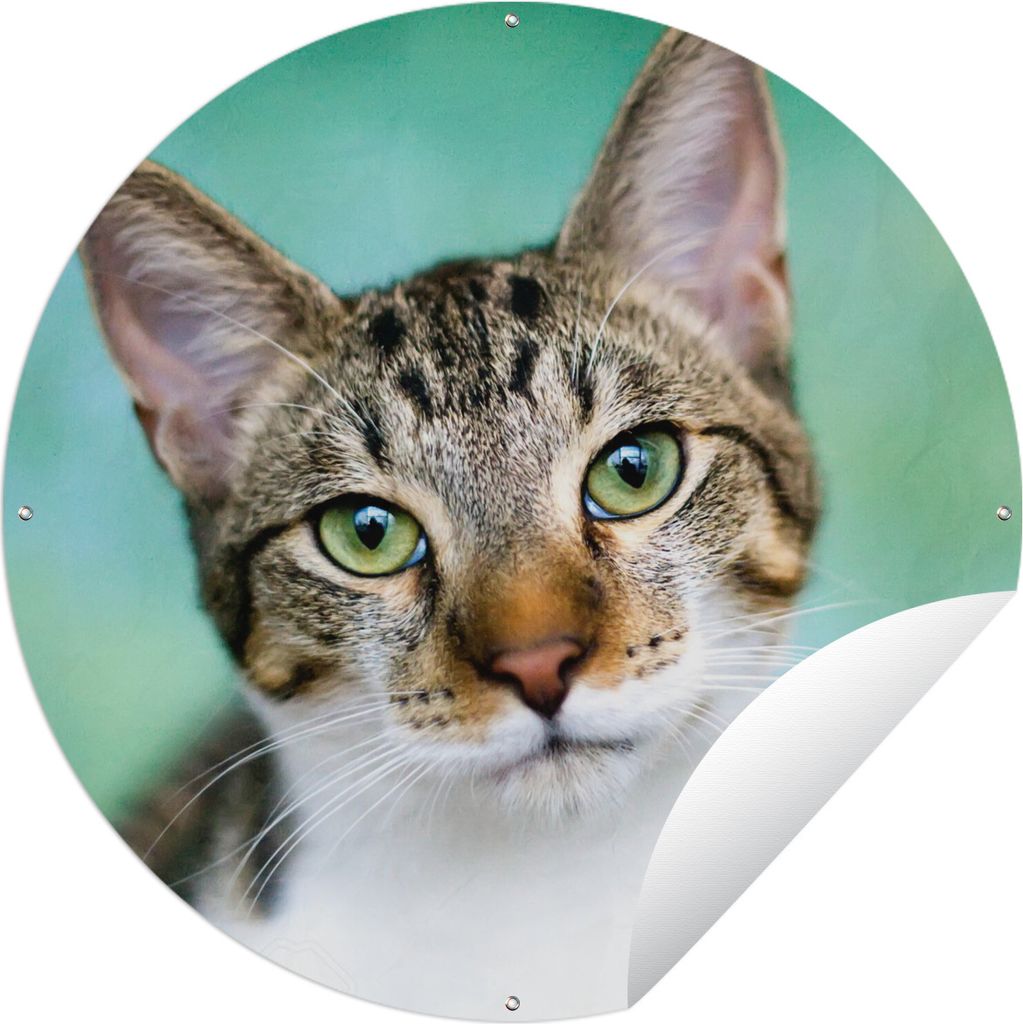MuchoWow Gartenposter Outdoor-Poster Rund Katze - Porträt - Augen Ø 150 cm Gartendeko Rundes Poster draußen