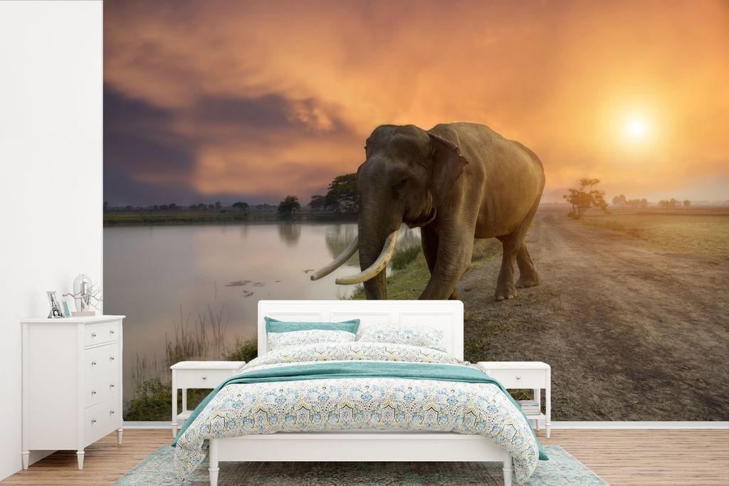 MuchoWow Fototapete für Wohnzimmer oder Schlafzimmer Wandtapete Vinyl Motivtapete Elefant geht auf den See zu - 420x280 cm - Zimmer für Kinder