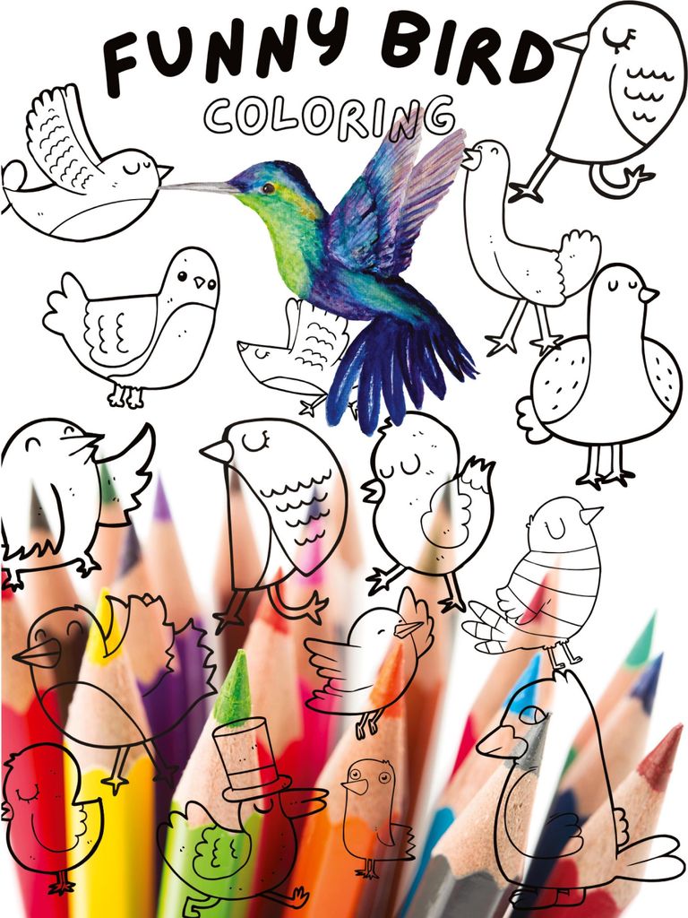 Funny Bird Coloring Book