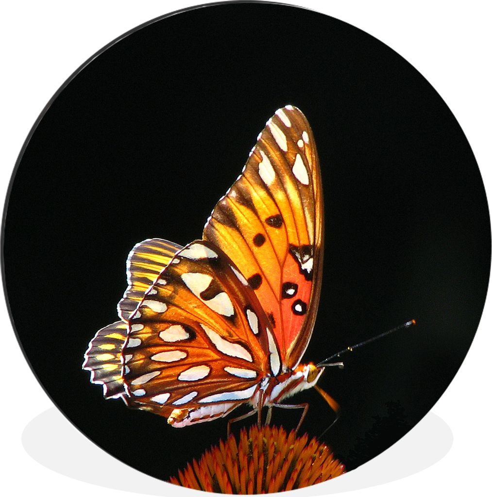 MuchoWow - Mauerkreis - Wandbilder - Runde Bild - Bild aus Aluminium - Schlafzimmer - Wohnzimmerdekoration - Wand Dekoration