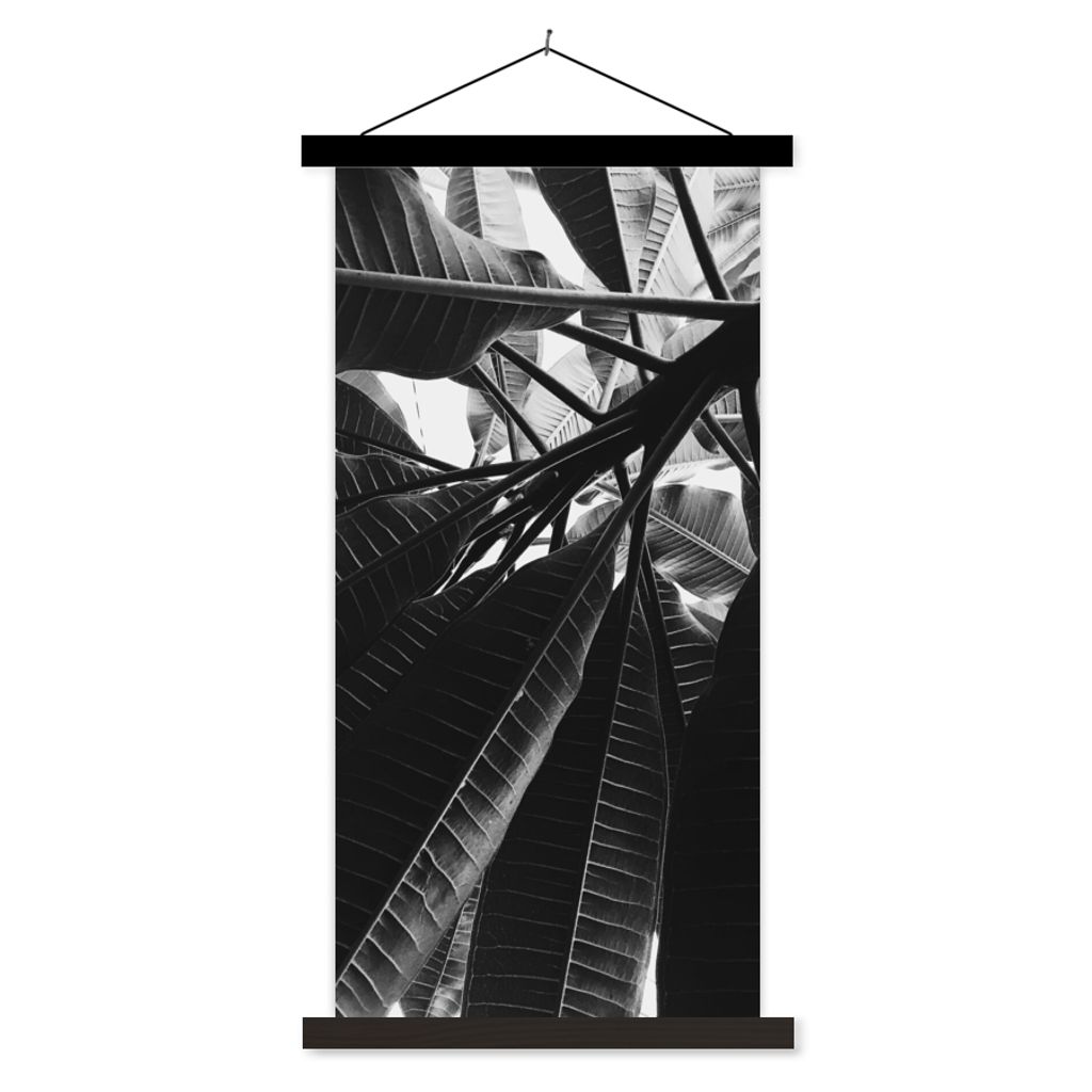 MuchoWow Textilposter Palmenblatt - Tropisch 60x120 cm mit schwarzem Rahmen - Magnete