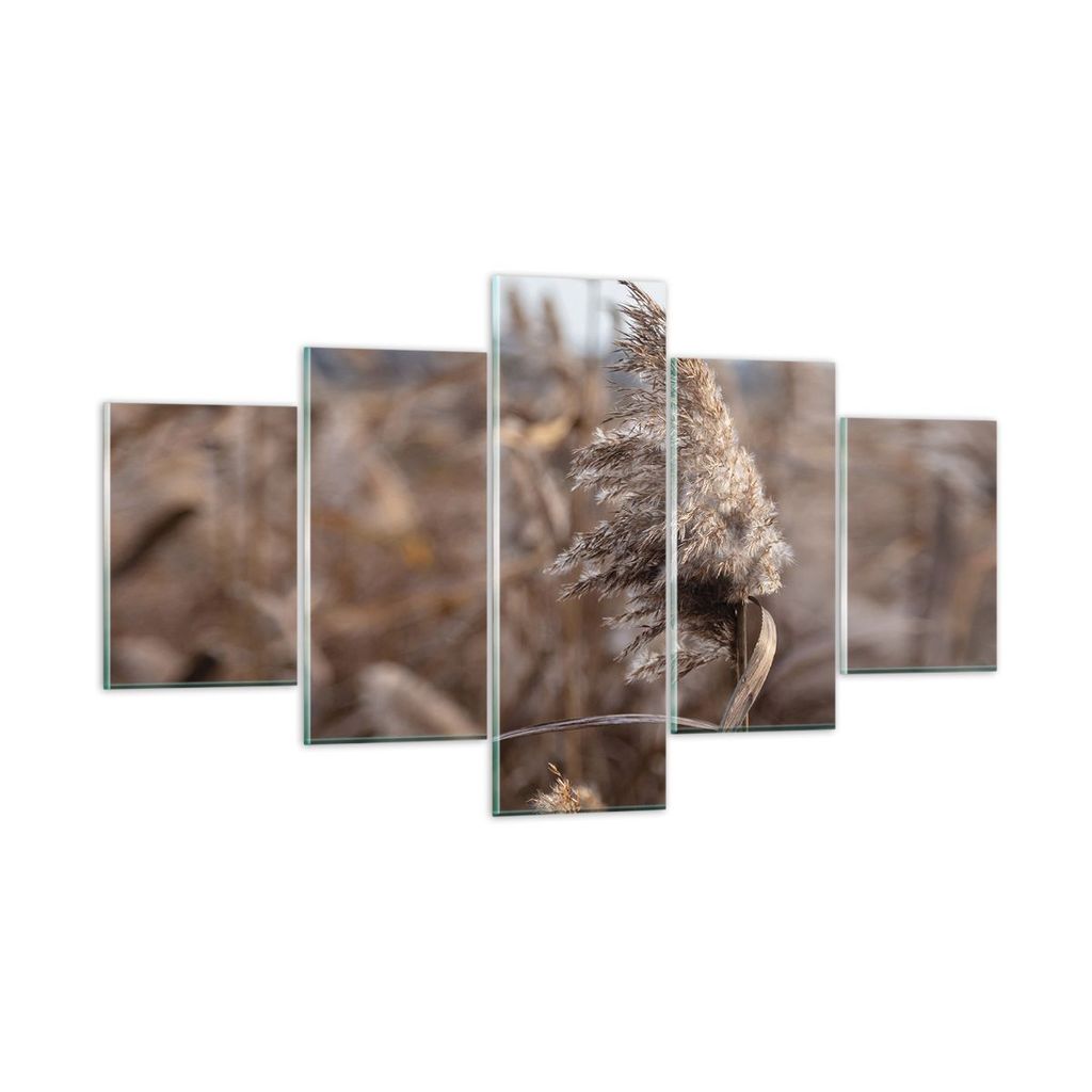 Bilder auf glas - 5 Teile - Boho Ähren Gras - 125x70cm - Glasbilder - Wandbilder - Bilder - zum Aufhängen bereit - Wanddekoration aus Glas - Glas...