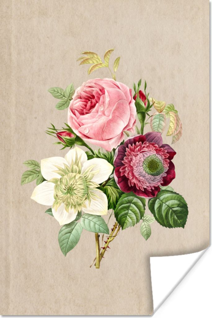 MuchoWow Poster Blumen - Vintage - Antiquitäten - Design - Botanisch 20x30 cm - Papierdruck