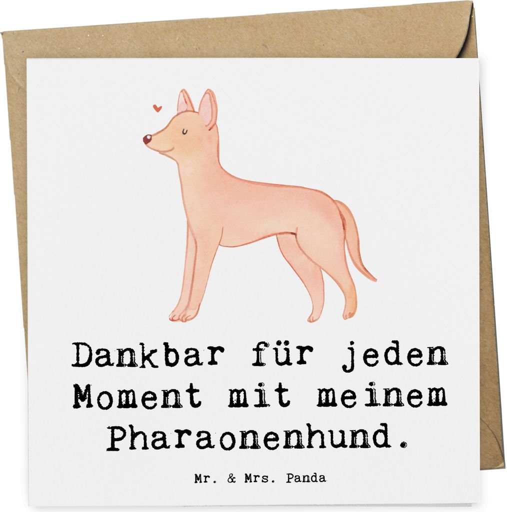 Mr. & Mrs. Panda faltkarte Pharaonenhund Moment - Weiß - Geschenk, Kelb Tal-Fenek, doppelkarte, anlasskarte, Klappkarte, Pharaoh Hound, Glückwuns...