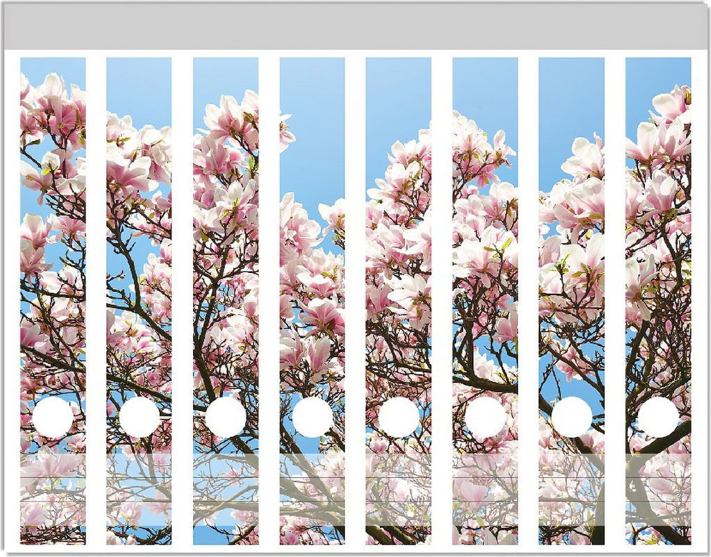Wallario Ordnerrücken Sticker, selbstklebend für schmale Ordner, 8 Stück, Motiv Schöne rosa Magnolien-Blüten vor blauem Himmel