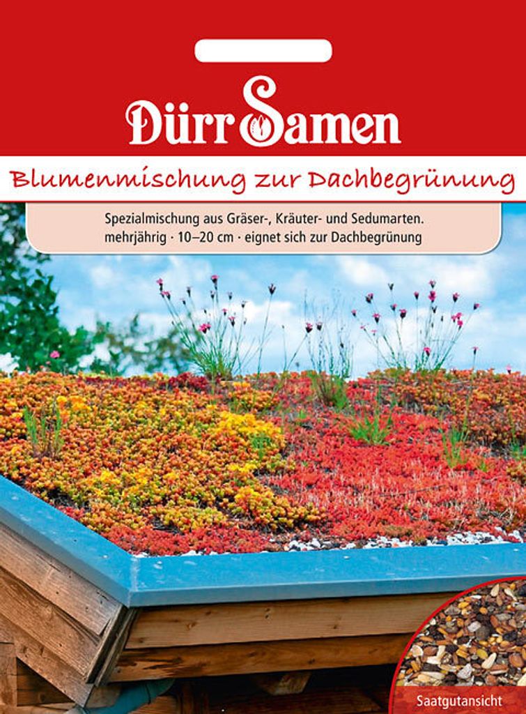 Dürr-Samen - Blumenmischung zur Dachbegrünung - Saatgut - Produktbild 