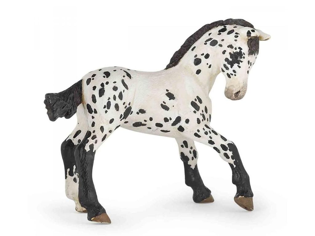 Papo Horses Pferd Schwarz Appeloosa Fohlen 51540
