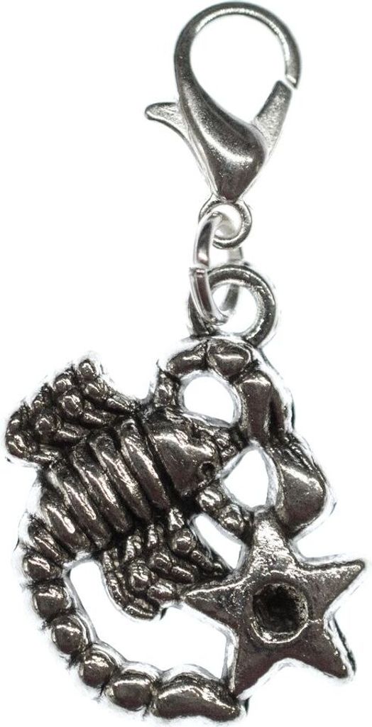 Skorpion Charm Miniblings Anhänger Bettelanhänger Stern Sternzeichen Horoskop
