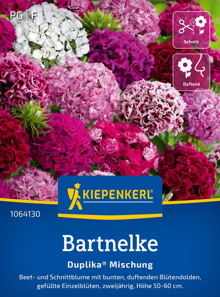 Bartnelke Duplika Mischung | Nelkensamen von Kiepenkerl