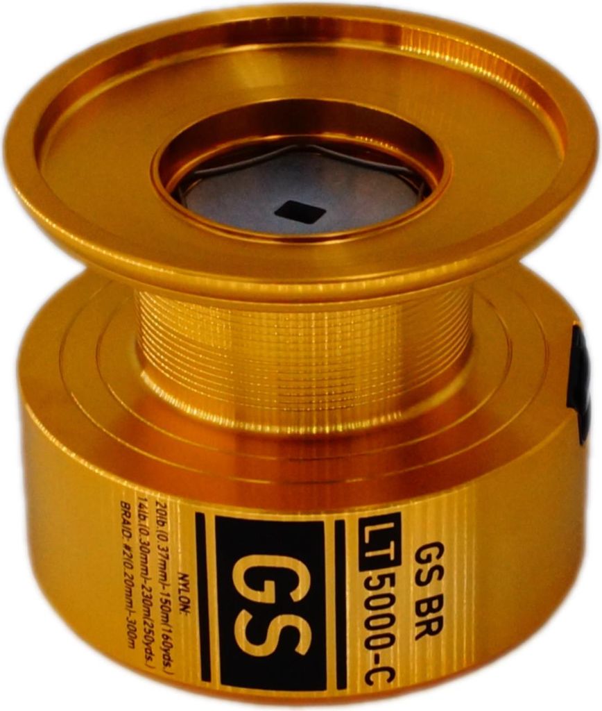 DAIWA 20 GS BR LT 5000-C E-Spule Produktbild 