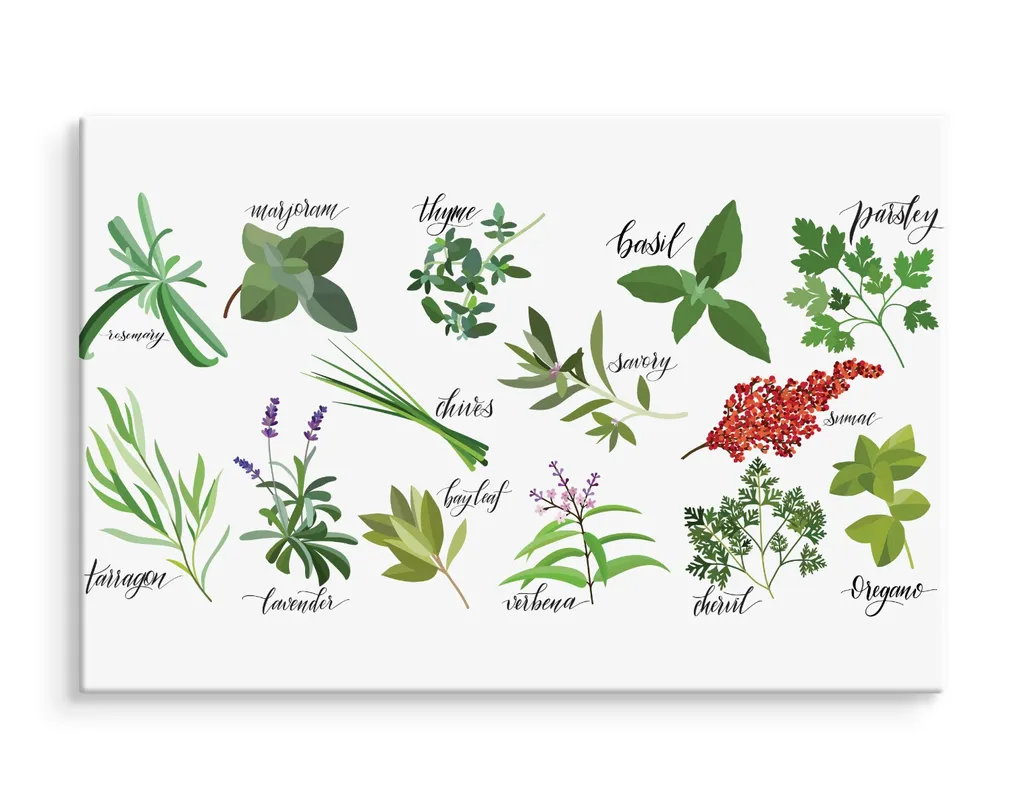 Wall Art XXL 100x70 cm Tela Natura Erbe Piante Decorazione Trendy - 3