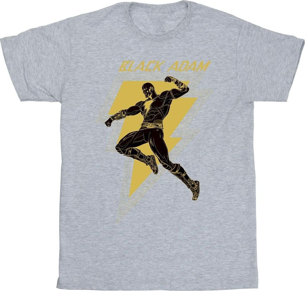 DC Comics - T-Shirt für Herren BI13464 (4XL) (Grau)