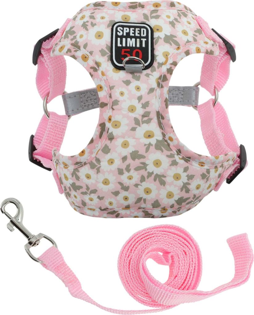 Welpe Hundegeschirr und Leinenset Mit Reflektierenden Streifen Verstellbares Geschirr Für Spaziergänge Geschirr Für Kleine Und Mittlere Hunde Ka...