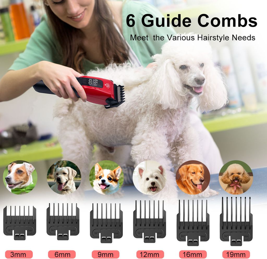 Hatteker Hundeschermaschine Profi Elektrische Produktbild 4