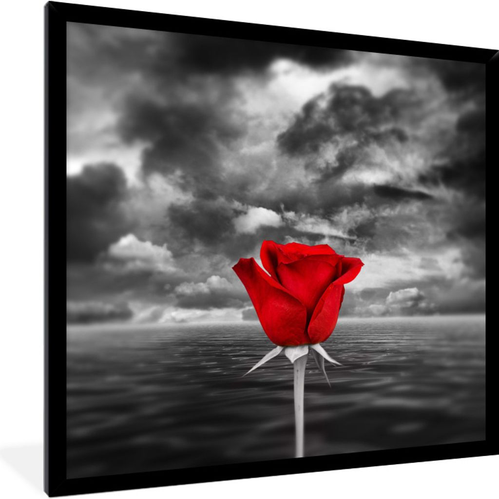 MuchoWow Gerahmtes Poster Schwarz-Weiß-Foto von einer roten Rose, gegen ein Meer und einen bewölkten Himmel 80x60 cm - Poster mit Schwarzem Bil...