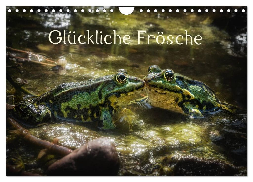 Glückliche Frösche (Wandkalender 2027 DIN A4 quer), CALVENDO Monatskalender