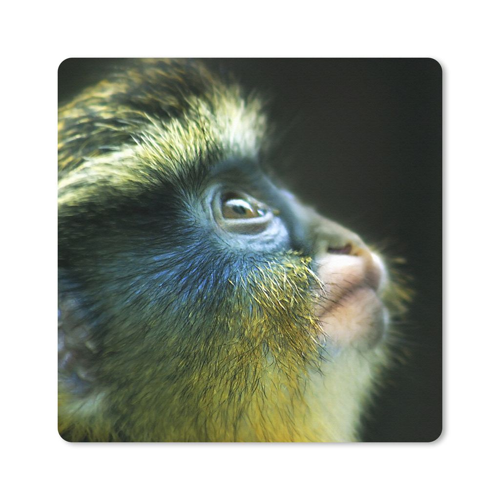 MuchoWow Mauspad Mousepad Affe - Fell - Schwarz 20x20 cm - Mousepads - Maus Mat - Pad - Mausunterlage - Desk Mat - Bureauartikeln