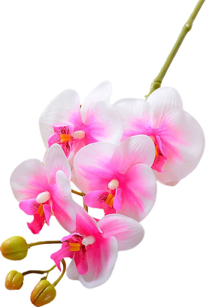 Künstliche Mottenorchideen mit Stiel, realistische 5-köpfige Phalaenopsis-Blume, Tischdekoration für Zuhause und Büro, Kunstblumenzweig, Blumen...