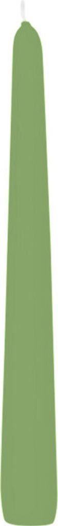 Spitzkerzen Pastell Grün Aloe Vera 250 x Ø 25 mm, 8 Stück