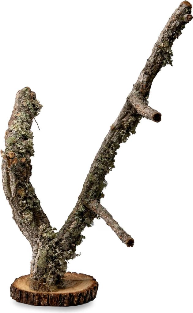 BioBranch Terrariendekoration aus Korkeiche 50cm, sicherer Kletterast & Unterschlupf