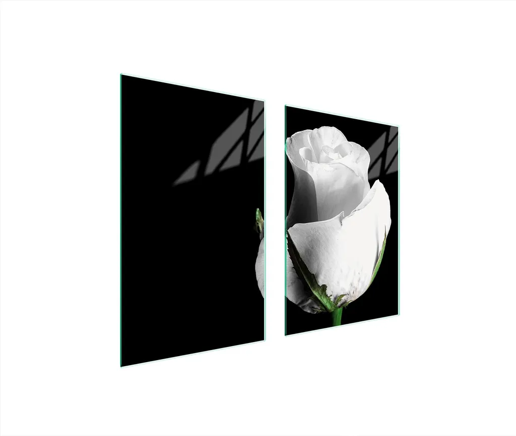 Tagliere Gigante e Protezione Fornelli 65x52 Rose in Vetro ESG