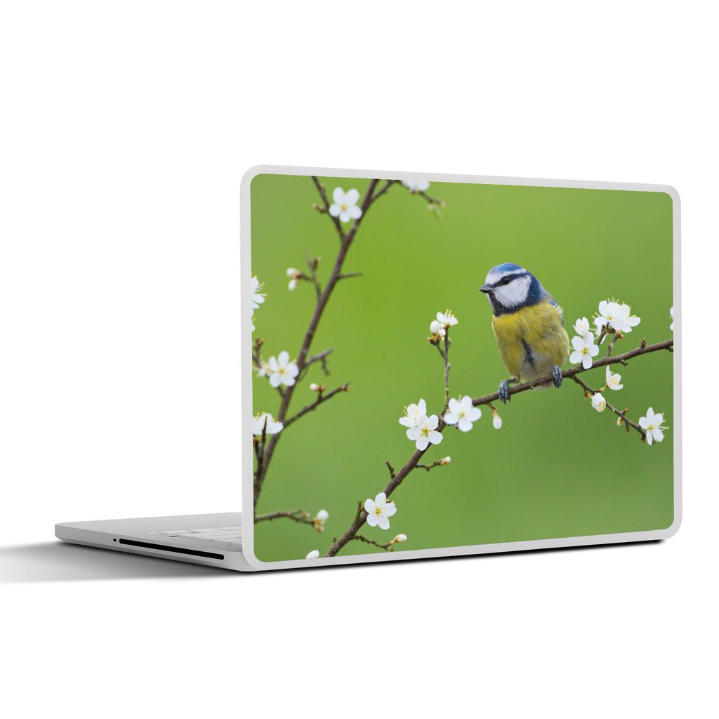 MuchoWow Laptop Aufkleber Sticker Cover Blaumeise - Zweig - Blumen - Blühende Zweige - Vogel 36.5x27.5 cm - Laptop-Sticker