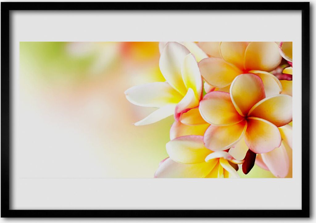Bild 70x50 MDF-Rahmen Wandkunst Blumen Pflanzen Natur