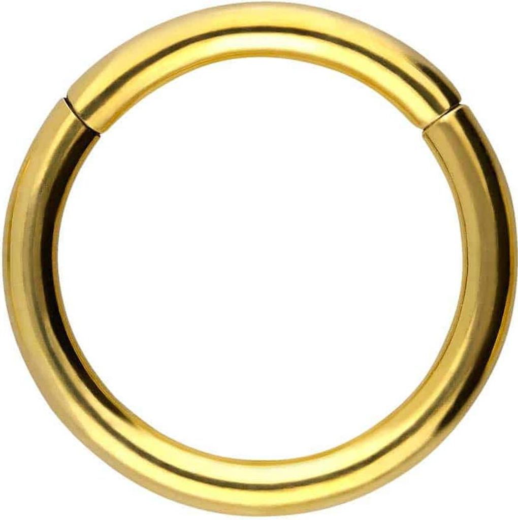 Ohrpiercing, Nasenpiercing, Septum Piercing Titan Segmentring Clicker Gold Innendurchmesser: 18mm + Stabstärke: 2,5mm