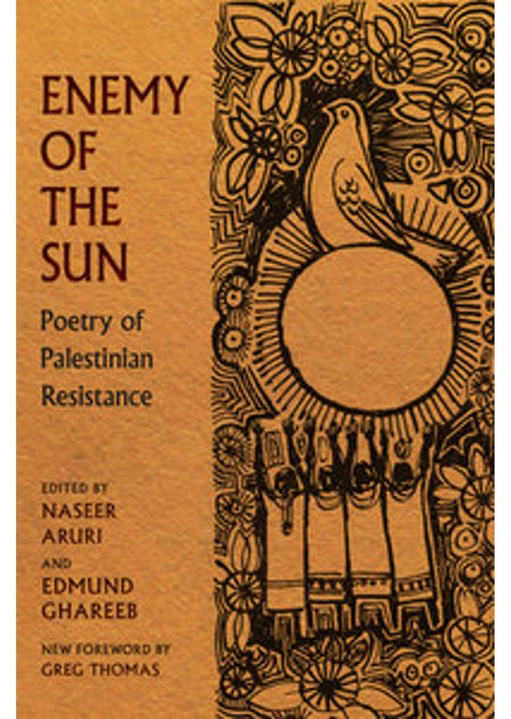 Enemy of the Sun