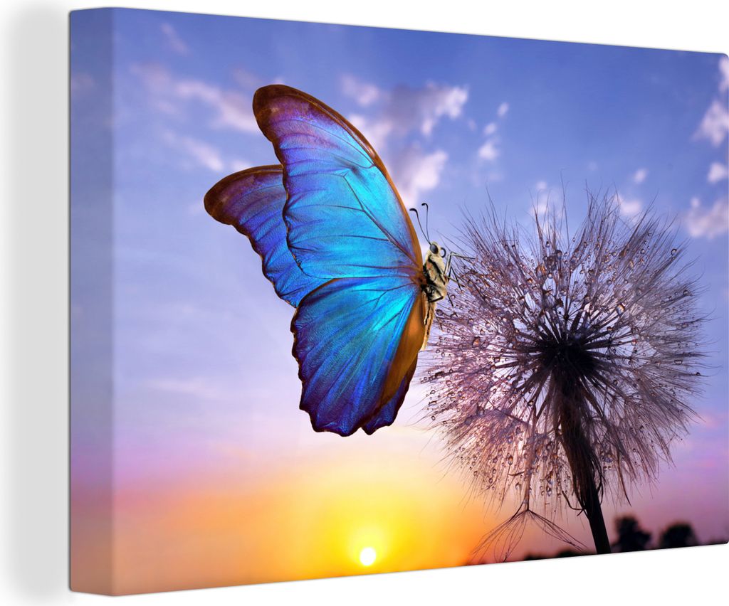 MuchoWow - Leinwandbilder - Schmetterling - Sonnenuntergang - Löwenzahn - Blau, Wandbild, Wanddeko Bilder Wohnzimmer, 120x80 cm
