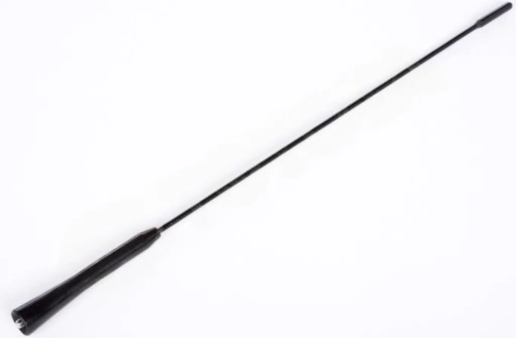 Solution Réception Radio Toyota RAV4 - Fouet Antenne 86309-42030 Anti-Bruit