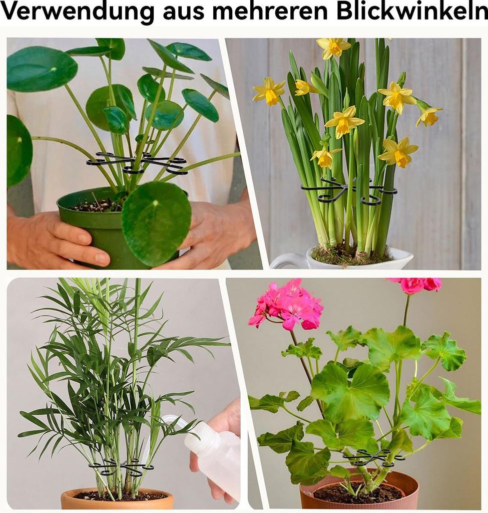 2er Set Pflanzensttzen fr Monstera, transparente