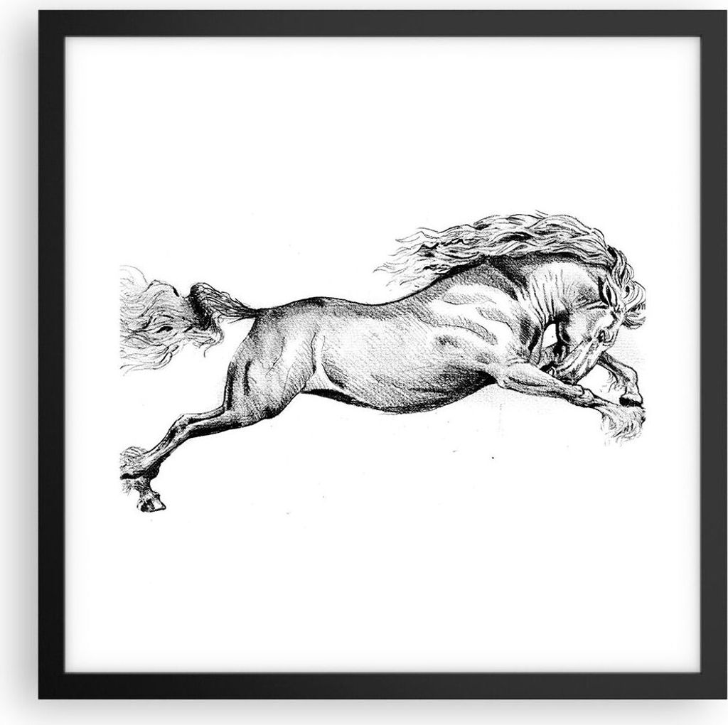 Gerahmtes Poster - Schwarzer Rahmen - Pferd Zeichnung Bleistift - 40x40 cm - Wand Bild - Wanddeko - Wandbilder - Kunstposter - Wandposter - Bilderr...