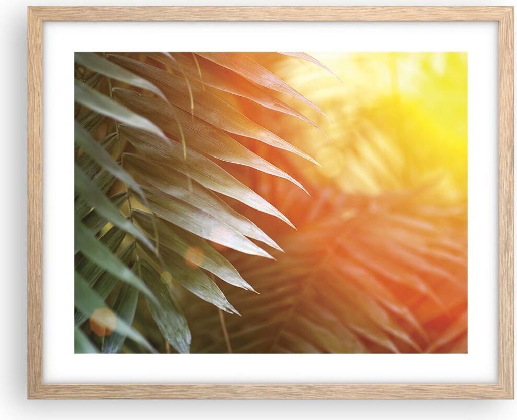 Gerahmtes Poster - Rahmen in heller Eiche - Exotisch Blätter Dämmerung - 50x40 cm - Wand Bild - Wanddeko - Wandbilder - Kunstposter - Wandposter ...