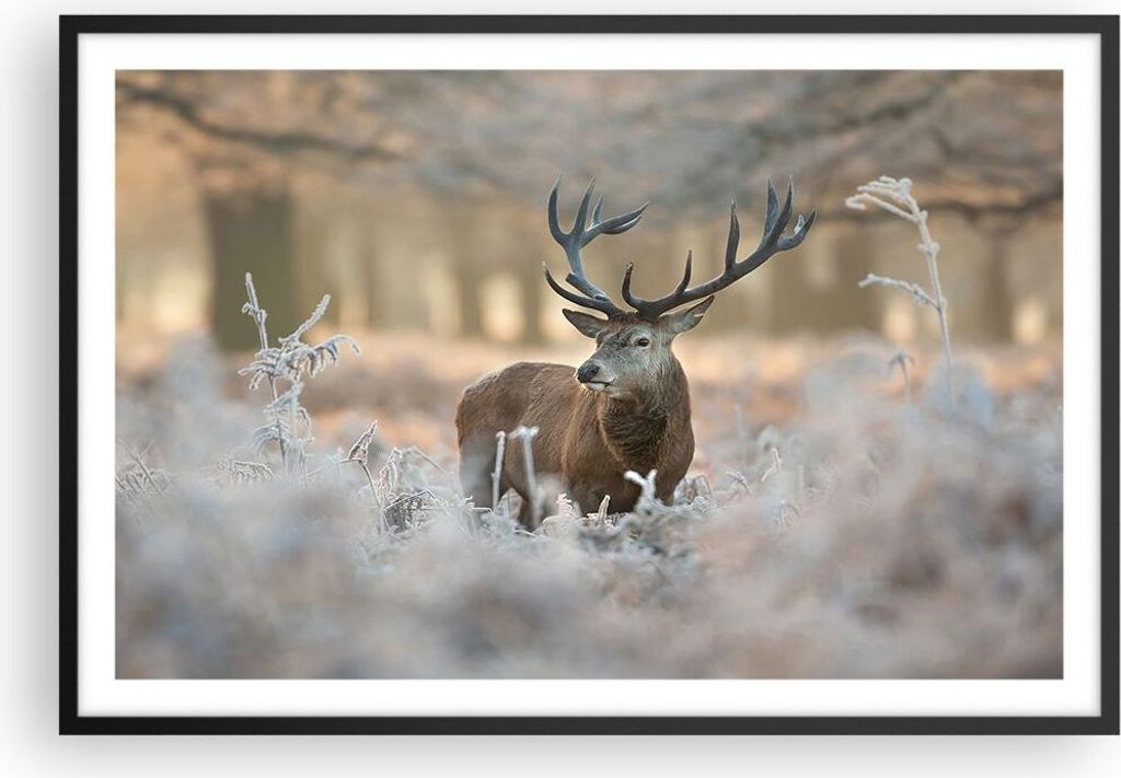 Gerahmtes Poster - Schwarzer Rahmen - Hirsch Wald Natur - 91,5x61 cm - Wand Bild - Wanddeko - Wandbilder - Kunstposter - Wandposter - Bilderrahmen ...