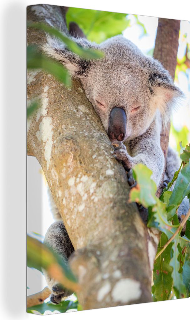 OneMillionCanvasses - Leinwandbilder - 90x140 cm, Koala - Baum - Blätter, Wandbilder Kunstdruck Wanddekoration - Wandschmucke - Schlafzimmer