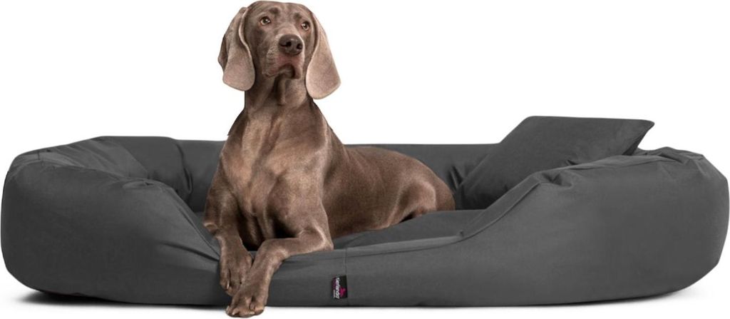 tierlando Hundebett SAMMY Ovales Hundesofa für große Hunde Robuster Polyester Dicke Umrandung - Größe: 140x105cm | Farbe: 02 Graphit